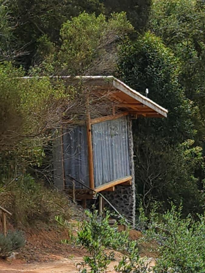 Tiny Houses O Olival - Aluguel Temporada Cunha Exterior photo